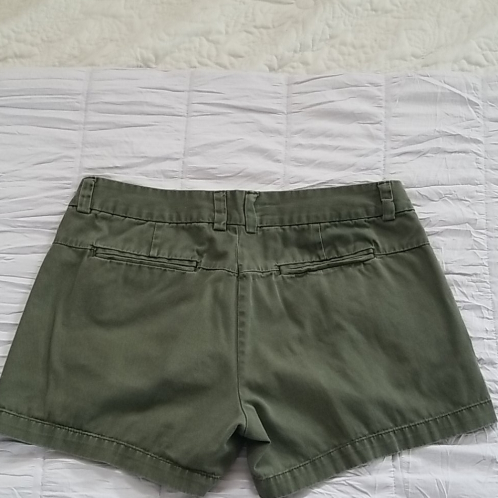 Chino Shorts - Picture 3 of 3